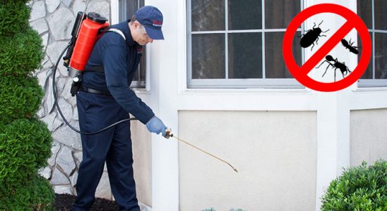 Cumayeri Akrep İlaçlama böcek ilaçlama ve haşere kontrolü — ilaclama-tr.com